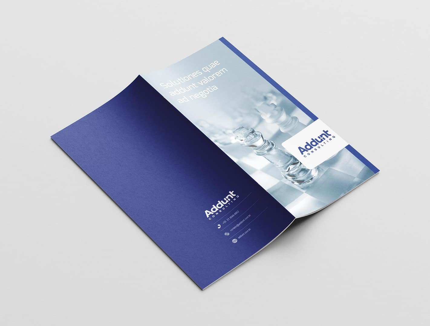 Free_DL_Stiched_Brochure_Mockup_5 - cópia